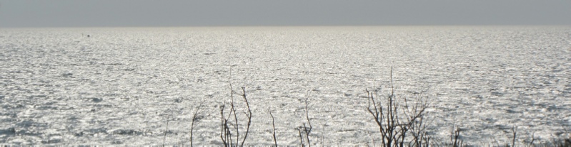 silbrig glänzendes Meer, im Vordergrund von unten einige schwarze dünne Äste, oberes Fünftel bildet dunkelgrau der Himmel ǀ Mehr-Blick - Supervision